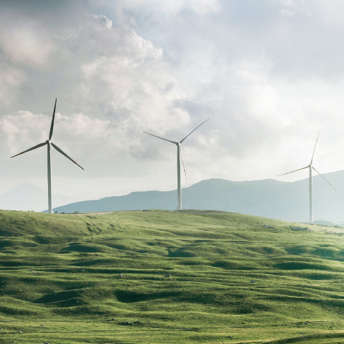 PROVENANCE WINDMILL 2.png__PID:fd63e023-e19e-437d-860c-93f4a52b983b