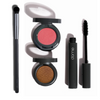 Starter Kit ($99 Value)      Eye Shadow| Blush| Mascara | Eye Brush